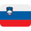 DoctorIQ's country flag, code SI